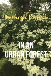 In An Urban Forest