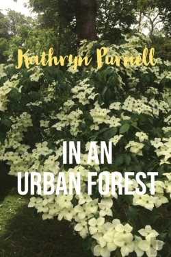 Bertrand.pt - In An Urban Forest