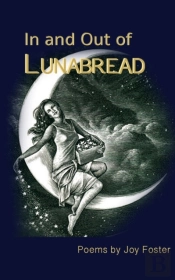 In And Out Of Lunabread