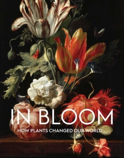 Bertrand.pt - In Bloom