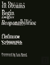 In Dreams Begin Responsibilities And Other Stories