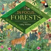 In Focus: Forests