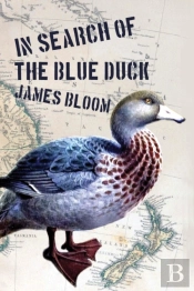 In In Search Of The Blue Duck