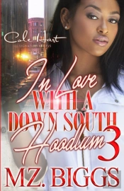 In Love With A Down South Hoodlum 3