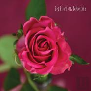 In Loving Memory Funeral Guest Book, Celebration Of Life, Wake, Loss, Memorial Service, Funeral Home, Church, Condolence Book, Thoughts And In Memory Guest Book (Hardback)