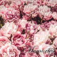 In Loving Memory Funeral Guest Book