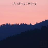 In Loving Memory Funeral Guest Book, Wake, Loss, Celebration Of Life, Memorial Service, Funeral Home, Church, Condolence Book, Thoughts And In Memory Guest Book (Hardback)