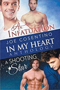 Bertrand.pt - In My Heart - An Infatuation & A Shooting Star