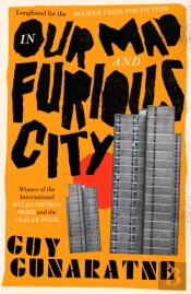 In Our Mad And Furious City