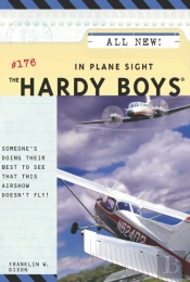 In Plane Sight