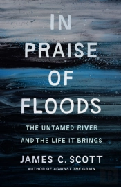 In Praise Of Floods