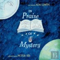 In Praise Of Mystery