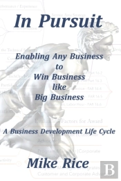 In Pursuit Business Development Life Cycle