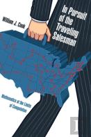 In Pursuit Of The Traveling Salesman