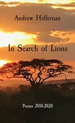 Bertrand.pt - In Search Of Lions