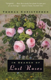 In Search Of Lost Roses