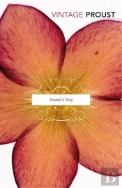 In Search Of Lost Time Vol 1