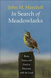 In Search Of Meadowlarks