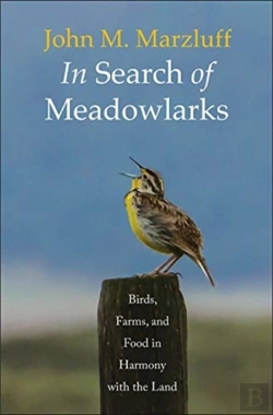 Bertrand.pt - In Search Of Meadowlarks