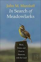 In Search Of Meadowlarks