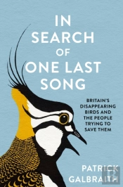 In Search Of One Last Song