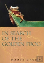 In Search Of The Golden Frog