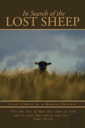 In Search Of The Lost Sheep