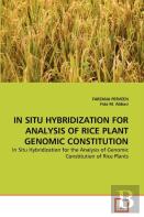 In Situ Hybridization For Analysis Of Rice Plant Genomic Constitution