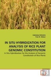 In Situ Hybridization For Analysis Of Rice Plant Genomic Constitution