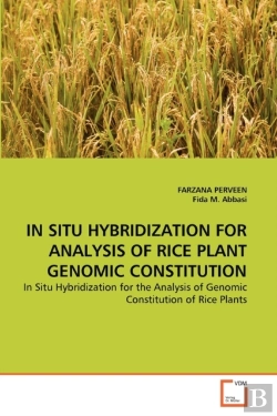 Bertrand.pt - In Situ Hybridization For Analysis Of Rice Plant Genomic Constitution