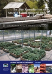 In-Situ Remediation Of Arsenic-Contaminated Sites