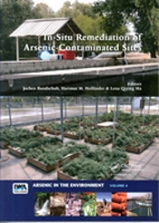 In-Situ Remediation Of Arsenic-Contaminated Sites