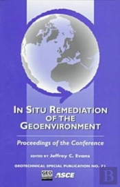 In-Situ Remediation Of The Geoenvironment