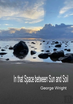 Bertrand.pt - In That Space Between Sun And Soil