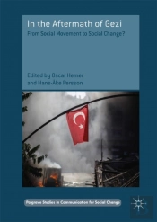 In The Aftermath Of Gezi