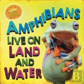 In The Animal Kingdom: Amphibians Live On Land And In Water