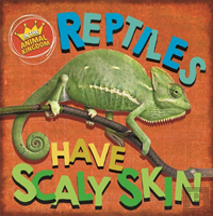 In The Animal Kingdom: Reptiles Have Scaly Skin