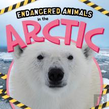 In The Arctic