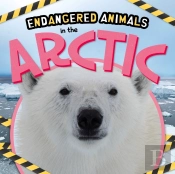 In The Arctic