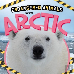 Bertrand.pt - In The Arctic