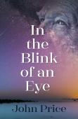 In The Blink Of An Eye