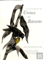 In The Company Of Crows And Ravens