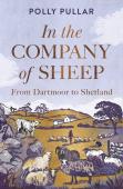 In The Company Of Sheep
