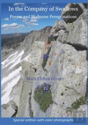 In The Company Of Swallows: Poems And Sk