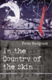 In The Country Of The Skin