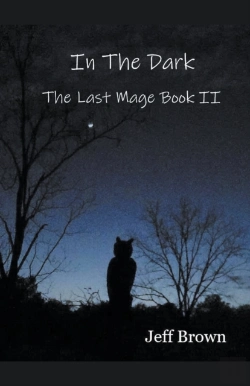 Bertrand.pt - In The Dark: The Last Mage Book Ii