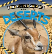 In The Deserts