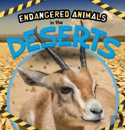 Bertrand.pt - In The Deserts