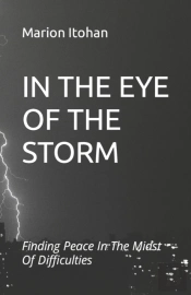 In The Eye Of The Storm