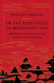 In The Footsteps Of Bodhisattvas